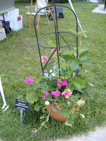 Trellis Planter