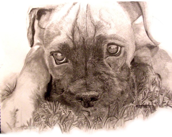 Precious Puppy