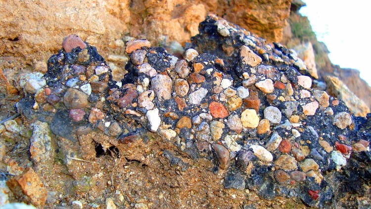 Texture Nature #13
