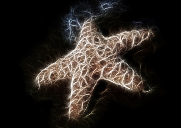 Starfish in colour