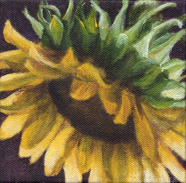 Autumn Sun