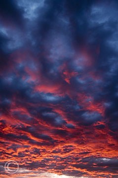 'Red Sky Daylesford' - Victoria, Australia