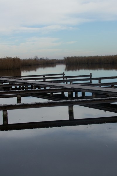 Double bridge