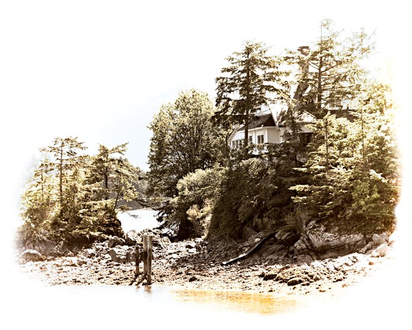 Sea House Antique
