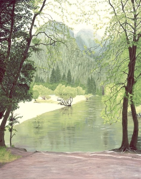 Peaceful Lake View