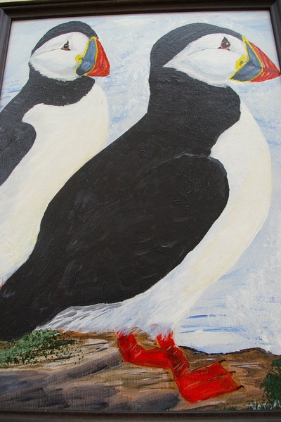 Puffins On The Isle of May Scotland