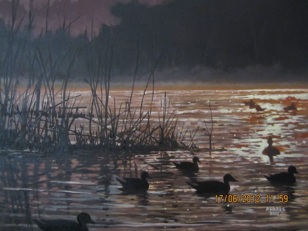 Early Morning On The Pond