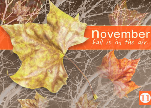 November on my mind.....