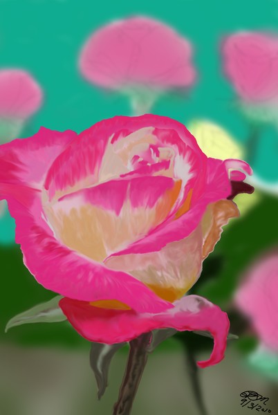 rose garden