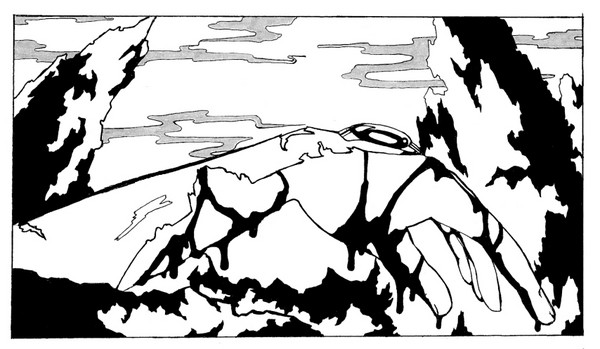 Wreckage