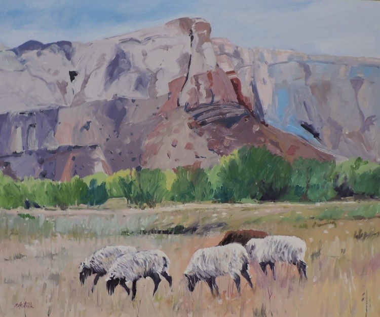 Sheep