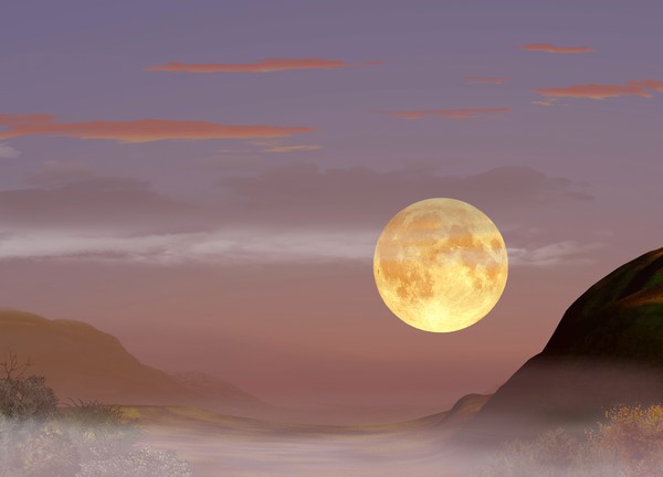 Early Moon