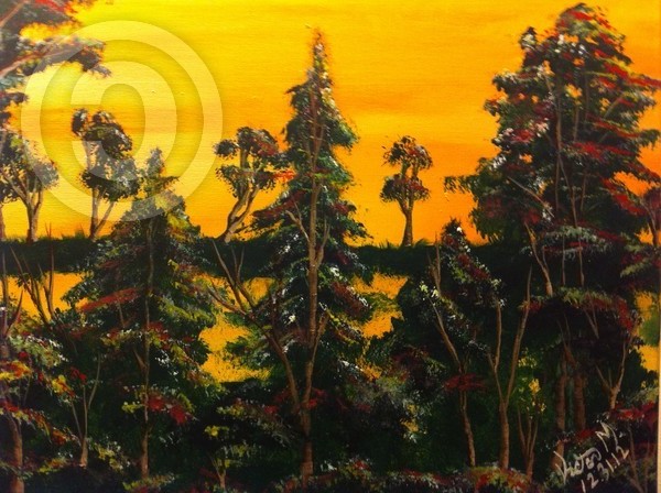 Landscape