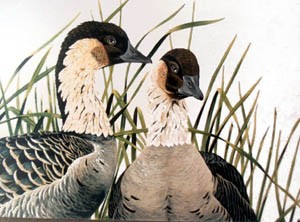 Ne Ne Geese
