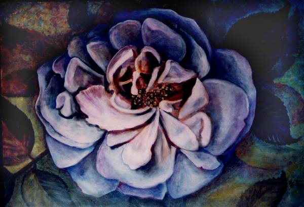 Blue Rose