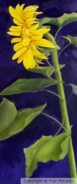 Tall Sunflower-Sold
