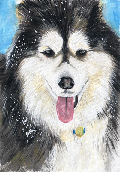 Painting of an Alaskan Malamute