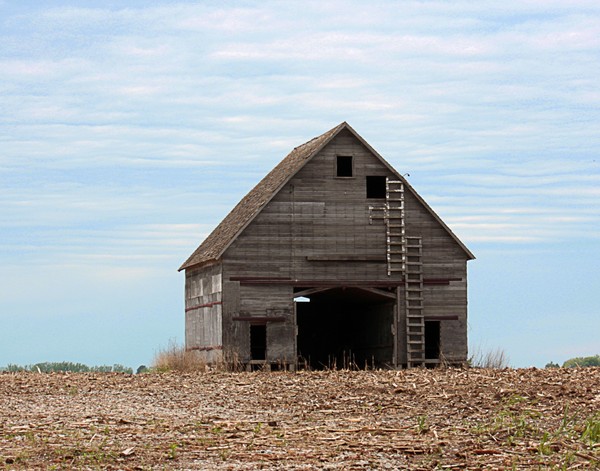 Barn 2
