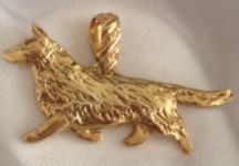 cardigancorgigold