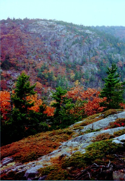 Majestic Maine
