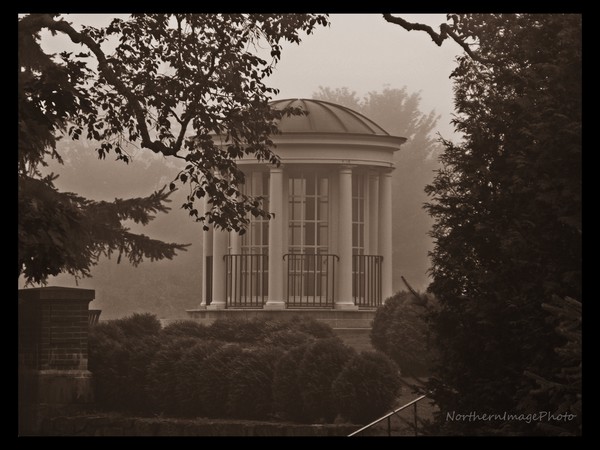 Morning Fog