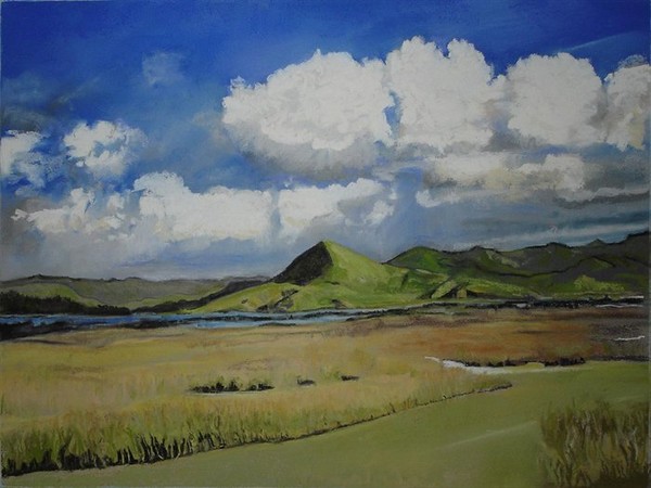 The Coromandel Peninsula