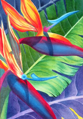 Bird of Paradise II