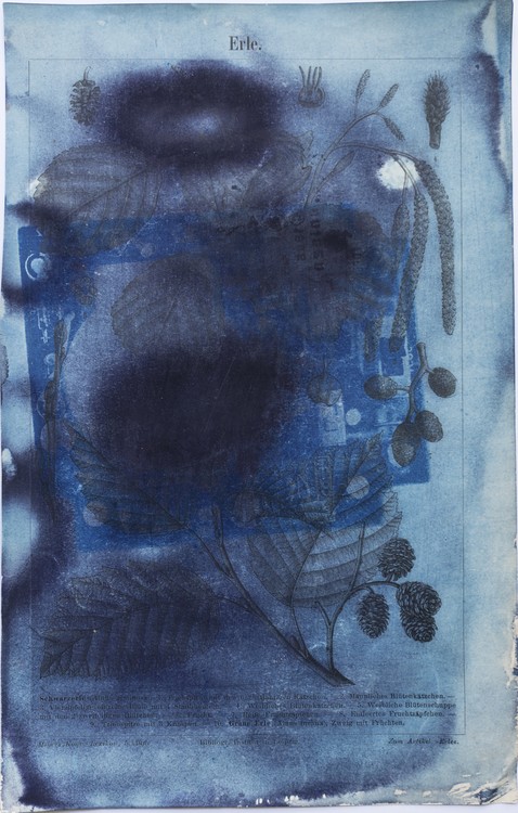 Amalgamated Fragmentation - Cyano 3