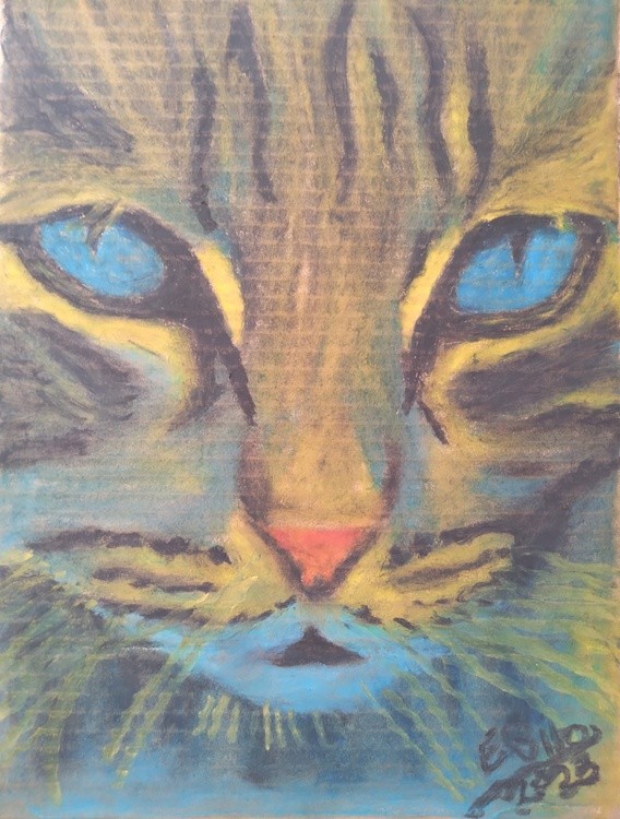 Nice Tabby Cat with Blue Eyes