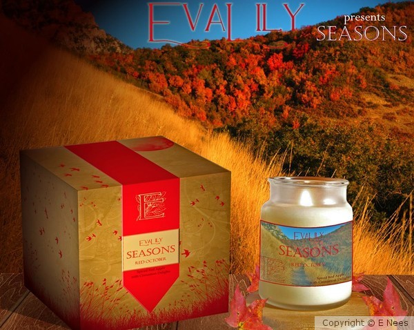 Evalily Product Design