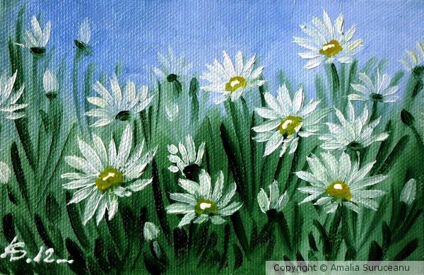 Daisies 2