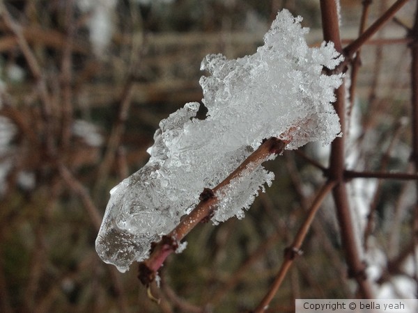 freeze, thaw, freeze again....