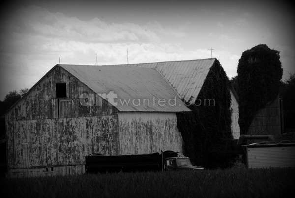 Old Barn
