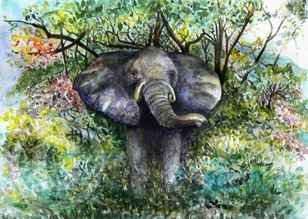 Lone Elephant