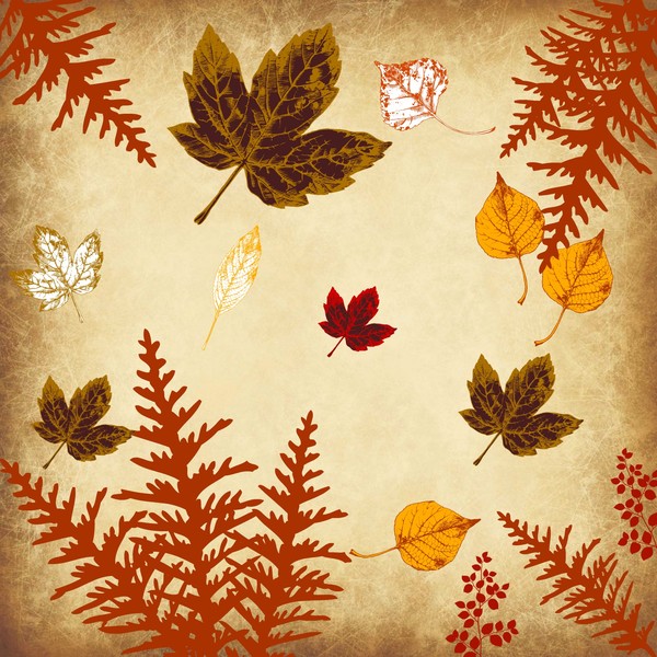 Autumn Leaves