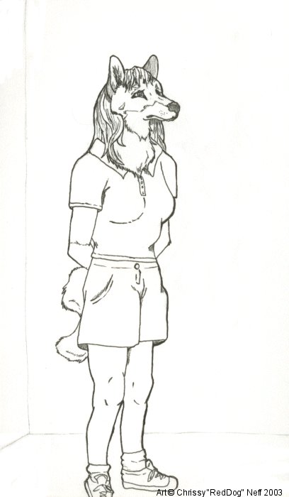 Swedish Elkhound