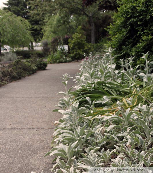 A New Path