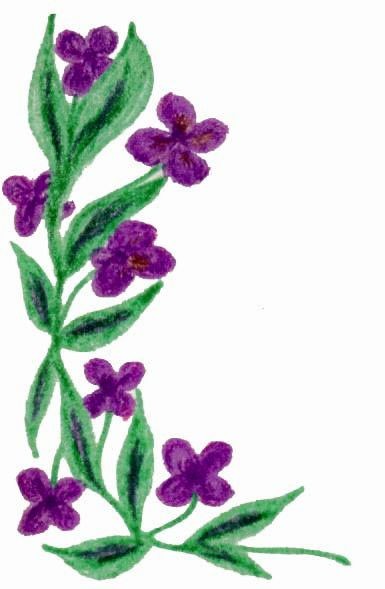 bright purple posies