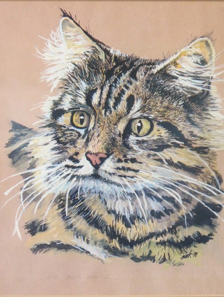 cat study