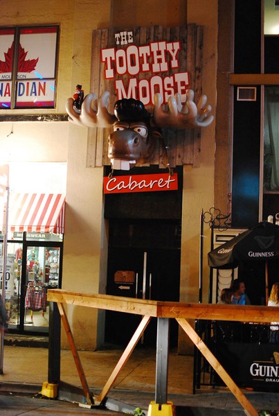 Toothy Moose Sign Installed