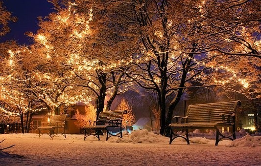 christmas (29)