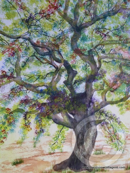 gnarly tree