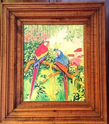 Guacamayas (Tropical birds)