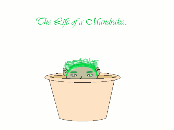 The Life of a Mandrake...