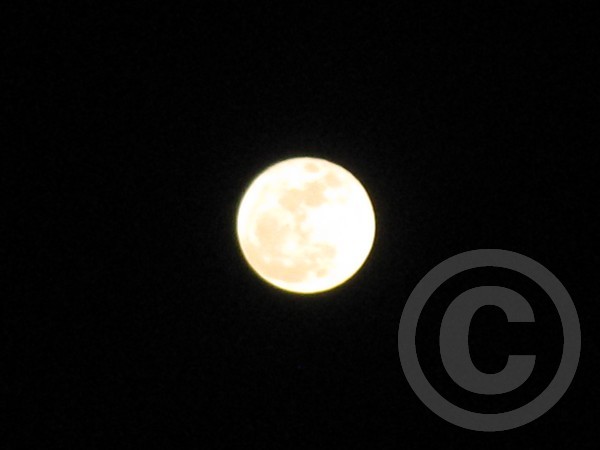 moon