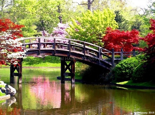 Beautiful garden 1 