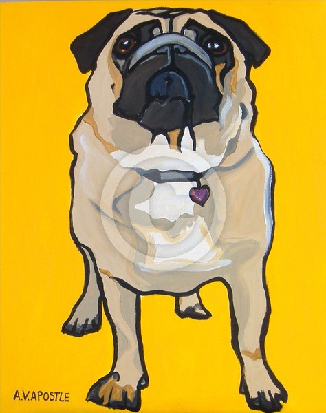PUG Dog with YELLOW