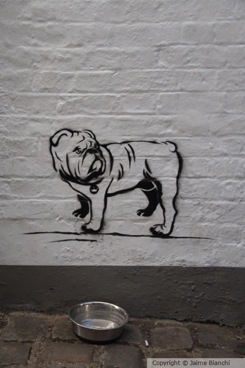Windsor (259)