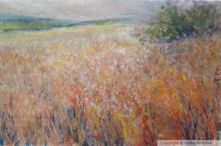 MERRY MEADOW