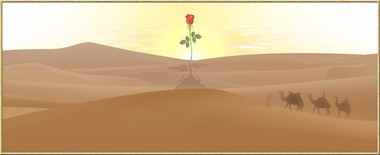 The Miracle Of Life